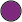 icon_purple_circle